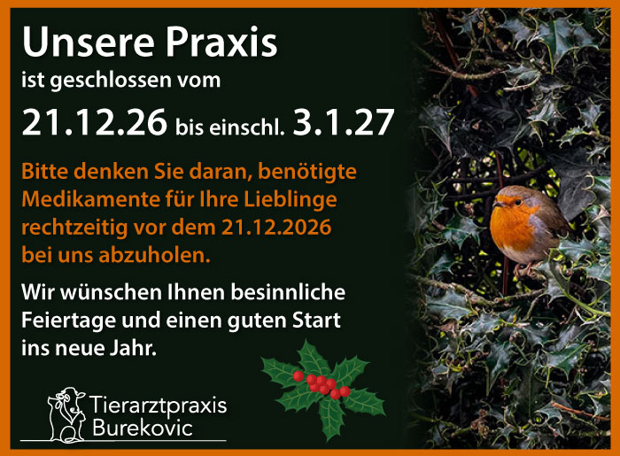 Tierarztpraxis Burekovic geschlossen Weihnachten 2026 Tierarztpraxis Burekovic geschlossen Weihnachten 2026